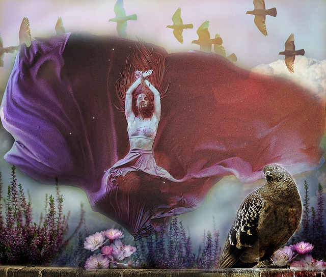 多新面孔 多新面孔