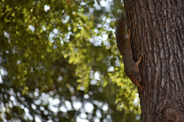 整场比赛竟 整场比赛竟