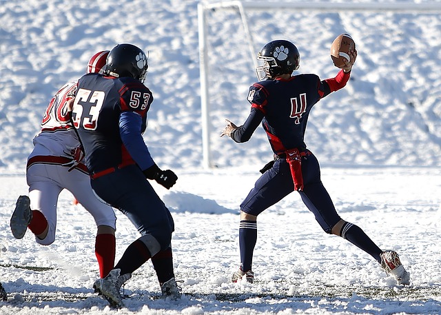 意大利国家 意大利国家