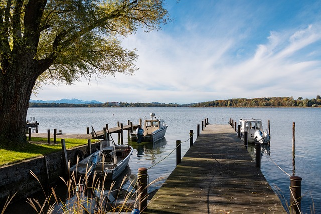 据的多样性 据的多样性