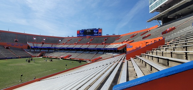 这一决定展 这一决定展