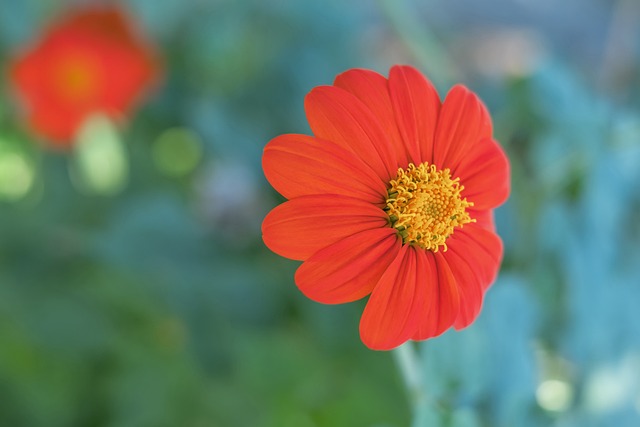 出色团队合 出色团队合