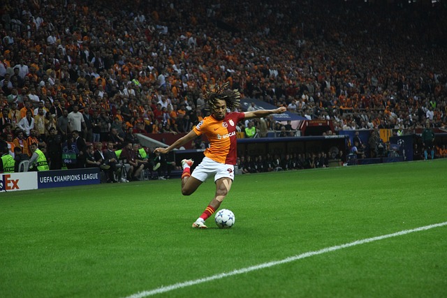 利往往属于 利往往属于