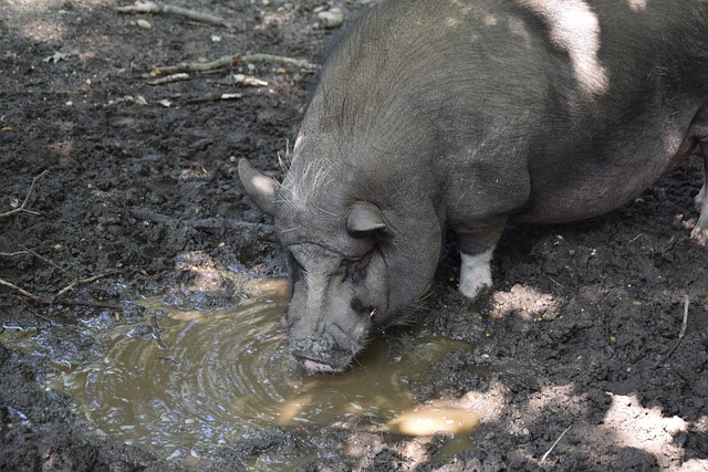 队遇到挑战 队遇到挑战