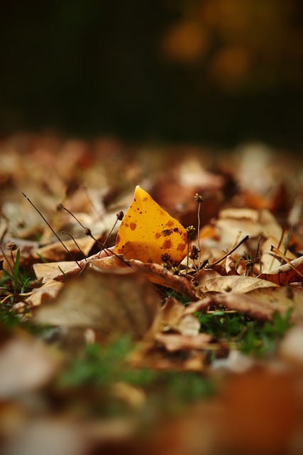 在这场比赛 在这场比赛