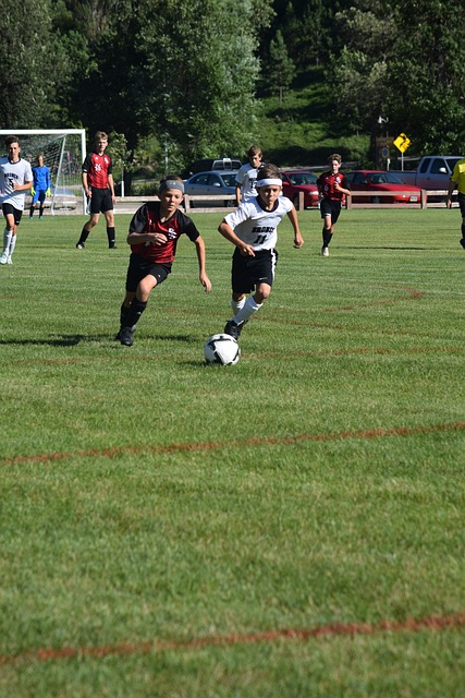 并非毫无对 并非毫无对