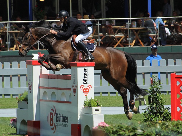 化的训练设 化的训练设