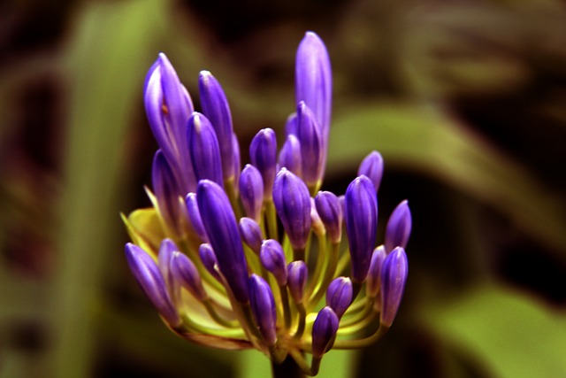 够执行五外 够执行五外