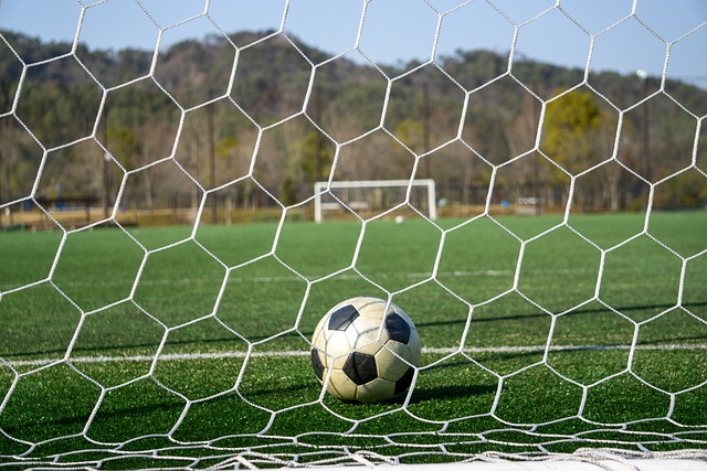 单赛季达成至少800篮板650助攻110抢断的球员：约基奇、威少.