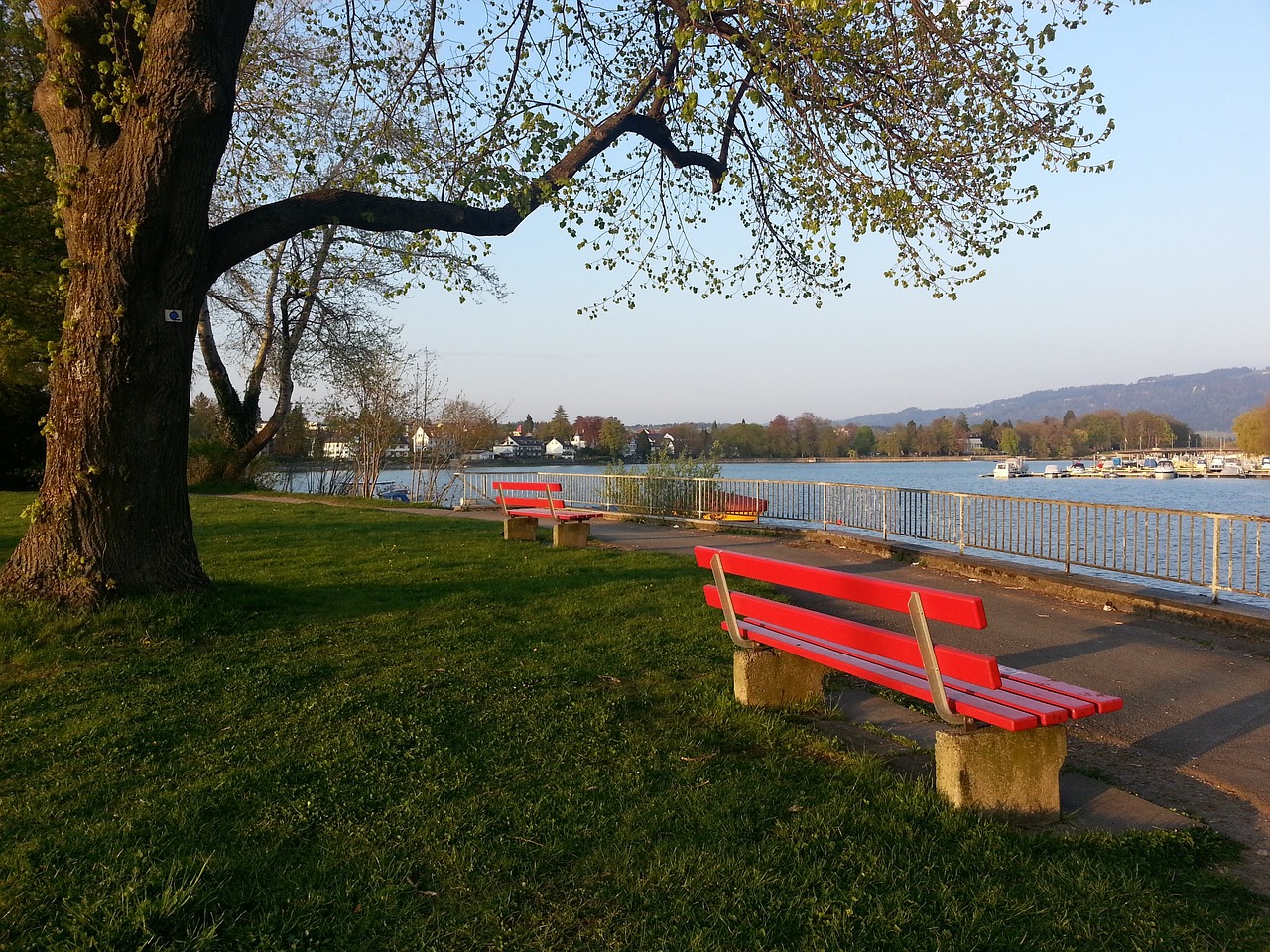 到明显影响 到明显影响